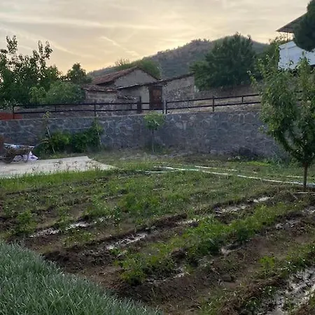 Villa - Kiroba Camlikonak Tas