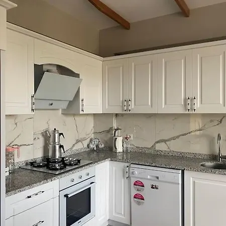 - Kiroba Camlikonak Tas Villa Dikili