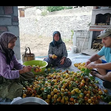 Villa - Kıroba çamlıkonak Taş *