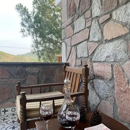 - Kıroba çamlıkonak Taş Dikili