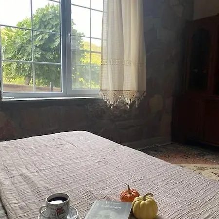 - Kıroba çamlıkonak Taş *