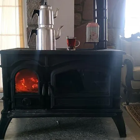 - Kıroba çamlıkonak Taş