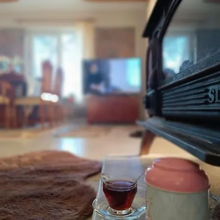 Villa - Kıroba çamlıkonak Taş *