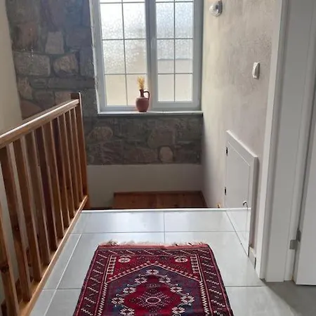 - Kıroba çamlıkonak Taş * Dikili