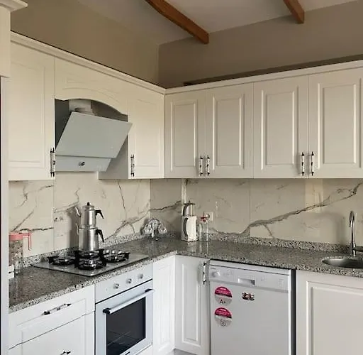 - Kiroba Camlikonak Tas Villa Dikili